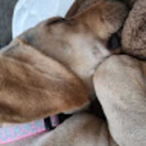 Meet your Posher, Nick